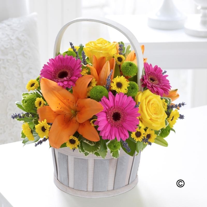 Arrangements & Baskets