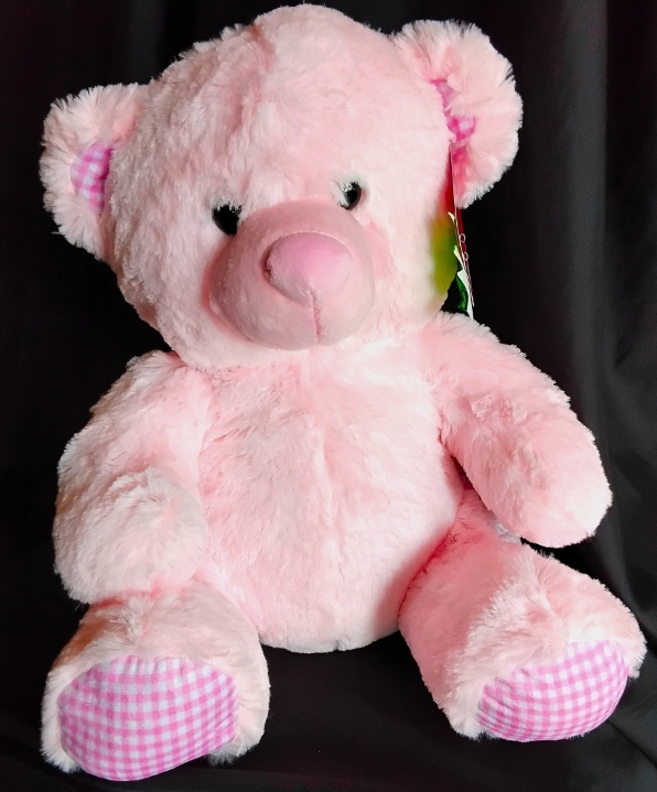Pink Gingham teddy